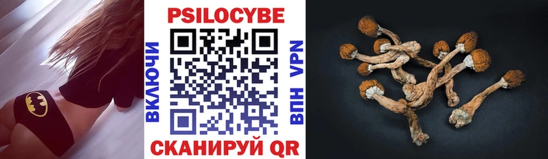 купить наркоту  Устюжна  Псилоцибиновые грибы прущие грибы 